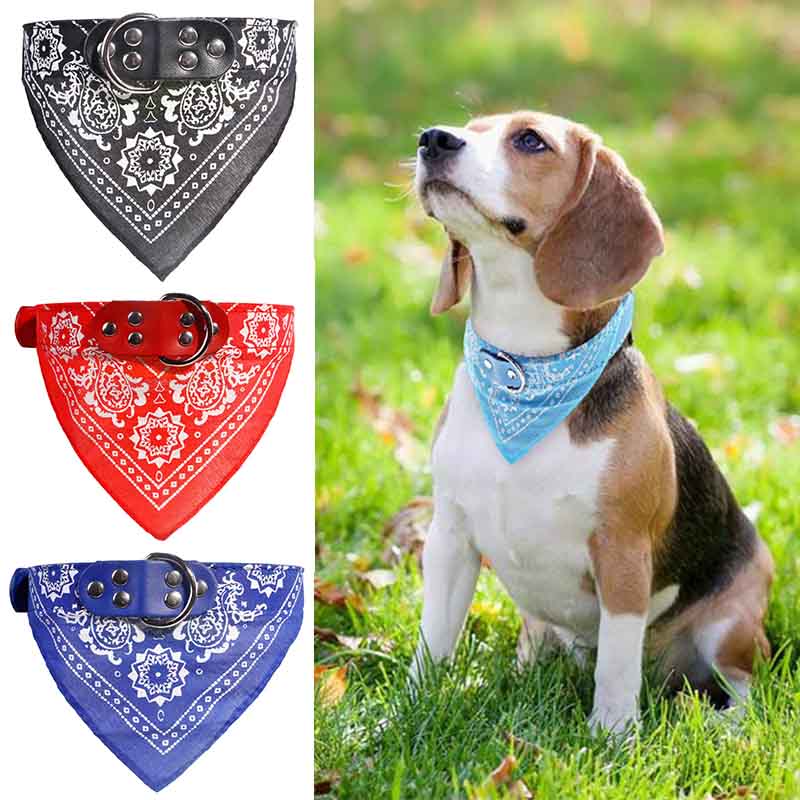 Signature scarf triangles  Scarf for dogs by Perro Collection